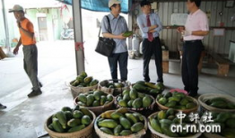 南充吃瓜最新事件爆料新闻,揭秘最新爆料背后的真相与争议